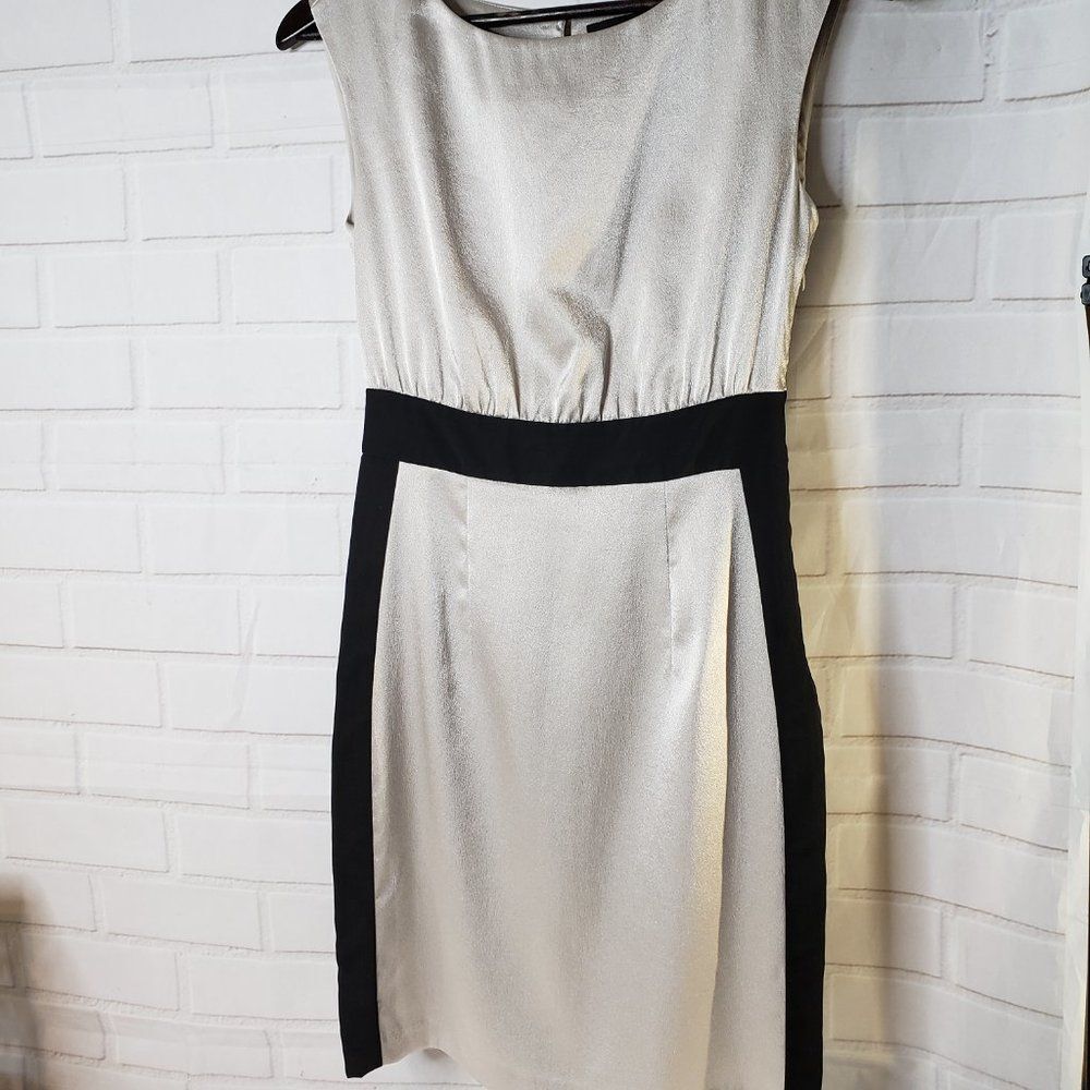 Elegant The Limited Silver Shimmer Sleeveless Crew Neck Dress womens size 0 XS